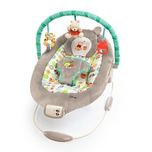 Disney Baby Winnie the Pooh Bouncer