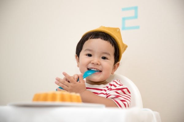 baby 2 high chair