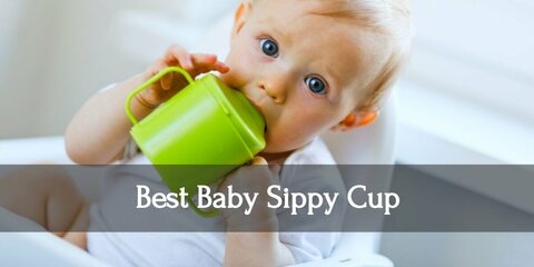 Top Sippy Cup for Babies