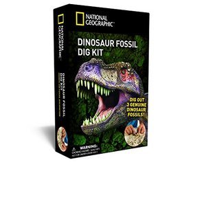 National Geographic Dino Fossil Dig Kit