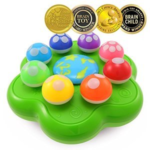 Best Learning Mushroom Garden