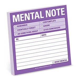 Knock Knock Mental Note Sticky Notes